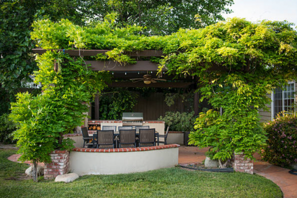 Taman dengan pergola kayu yang dilengkapi dengan tanaman merambat